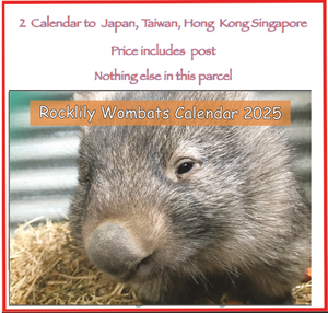 2  x 2025 Calendar's ONLY by Rocklily wombats  INCLUDES POSTAGE TO:  Japan, Taiwan, Hong kong, Singapore