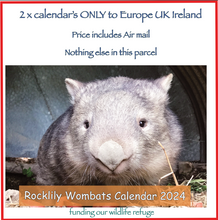 Load image into Gallery viewer, 2  x 2024 Calendar ONLY by Rocklily wombats  INCLUDES POSTAGE TO:  UK IRELAND EUROPE