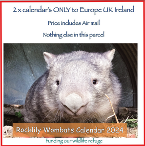 2  x 2024 Calendar ONLY by Rocklily wombats  INCLUDES POSTAGE TO:  UK IRELAND EUROPE