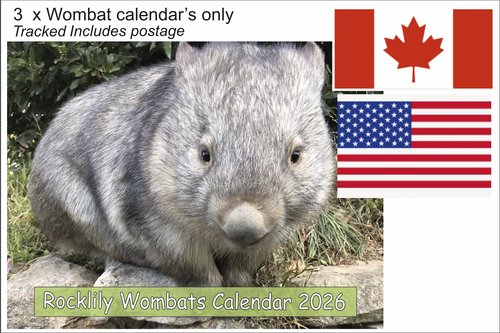 3 X 2026 ROCKLILY WOMBATS CALENDAR ONLY   TRACKED  Canada, US