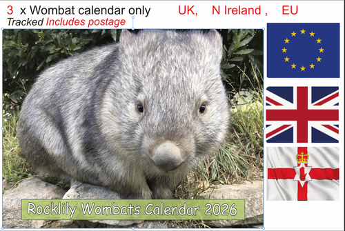 3 X 2026 ROCKLILY WOMBATS CALENDAR ONLY   TRACKED  UK, EU N Ireland