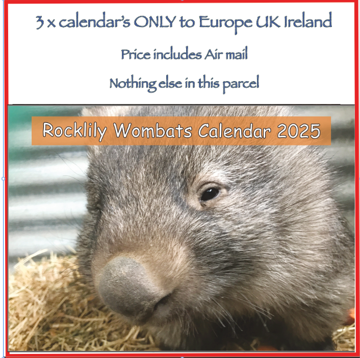 3  x 2025 Calendar ONLY by Rocklily wombats  INCLUDES POSTAGE TO:  UK IRELAND EU