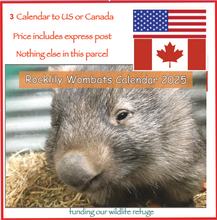 Load image into Gallery viewer, 3  x 2025 Rocklily wombats Calendar&#39;s ONLY.   INCLUDES POSTAGE TO:  US, Canada