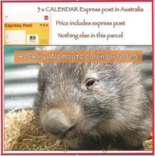 Load image into Gallery viewer, 3  x 2025 Calendar ONLY by Rocklily wombats  EXPRESS POST IN AUSTRALIA INCLUDED