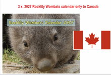 Load image into Gallery viewer, Can: 3 X 2027 Rocklily Wombats Calendar ONLY.   To Canada includes TRACKED postage Due 1st August