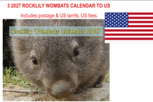 Load image into Gallery viewer, US: 3 x 2027 Rocklily Wombats Calendar ONLY.  To US  Includes postage , tariff's and fees into US Due 1st August