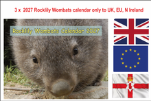 Load image into Gallery viewer, 2 X 2027 Rocklily wombats  Calendars ONLY.   To UK, EU N Ireland includes TRACKED postage due 1st August