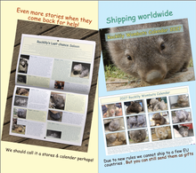 Load image into Gallery viewer, Who's selling our 2027 Wombat calendar this year for us (THIS IS A NOTICE)