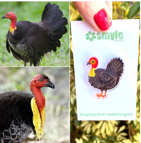 Bush Turkey Pin made  in Australia from recycled Acrylic,  by Smyle Designs