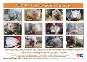 2  x 2024 Rocklily wombats Calendar's ONLY.   INCLUDES POSTAGE TO:  US, Canada
