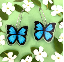 Load image into Gallery viewer, Blue Ulysses Butterfly Earrings  Made in Australia from recycled Acrylic, Smyle Designs