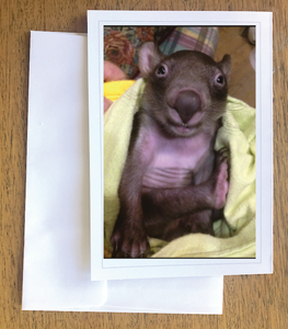 Bubule so little wombat Blank photo card with envelope 210 gms Gloss card