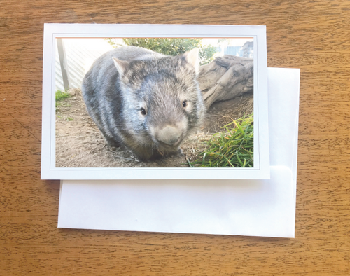 1. Bubule Wombat Blank photo Card with envelope 210 gms Gloss card