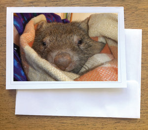 Burrow Wombat Blank photo card with envelope 210 gms Gloss card