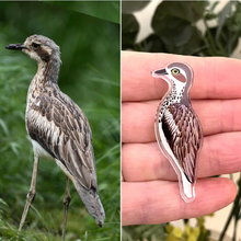 Load image into Gallery viewer, Curlew  'Bush Stone' Pin made  in Australia from recycled Acrylic,  by Smyle Designs