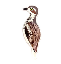 Load image into Gallery viewer, Curlew  'Bush Stone' Pin made  in Australia from recycled Acrylic,  by Smyle Designs