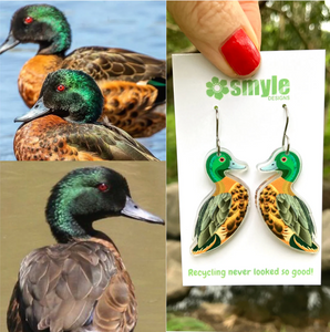 Chestnut Teal Duck   Earrings by  in Australia from recycled Acrylic, Smyle Designs