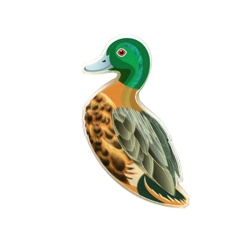 Chestnut Teal Duck Pin by  in Australia from recycled Acrylic, Smyle Designs