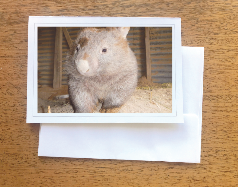 1. Vivian Wombat Blank photo Card with envelope  210 gms Gloss card