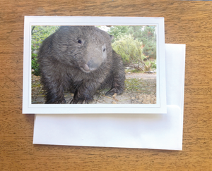 1. Chili Wombat Blank photo Card with envelope  210 gms Gloss card