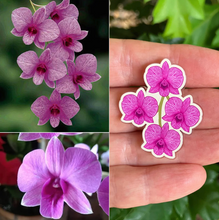 Load image into Gallery viewer, Cooktown Orchid PIN made  in Australia from recycled Acrylic,  by Smyle Designs