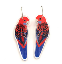 Load image into Gallery viewer, Crimson Rosella Earrings  Made in Australia from recycled Acrylic, Smyle Designs