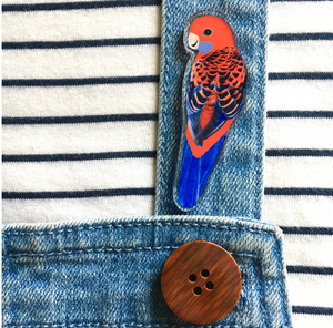 Crimson Rosella Pin  Made in Australia from recycled Acrylic, Smyle Designs