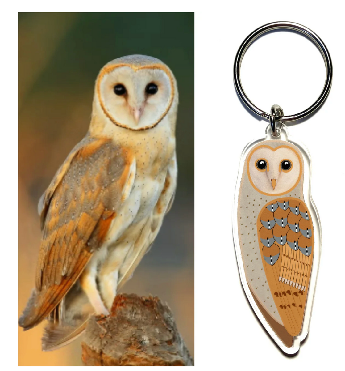 Eastern Barn Owl Keyring Made in Australia from recycled acrylic, Smyl ...