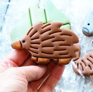 Echidna  Cookie cutter & Stamp set By Sweet Themes  8.5 cm Made in Australia.