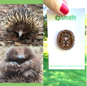 Echidna Pin  made  in Australia from recycled Acrylic,  by Smyle Designs