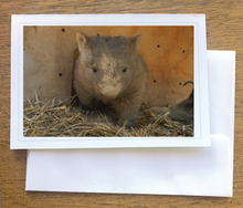 Load image into Gallery viewer, Flora wombat Blank photo card with envelope 210 gms Gloss card