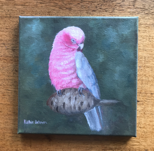 Galah on canvas  19cm x 19 cm  Original Oil by Kathie Bateman Includes Aust shipping