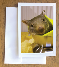 Load image into Gallery viewer, George wombat too cute. Blank photo card with envelope 210 gms gloss card