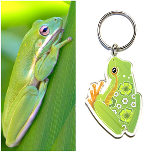 Green Tree Frog Key Ring by  in Australia from recycled Acrylic, Smyle Designs