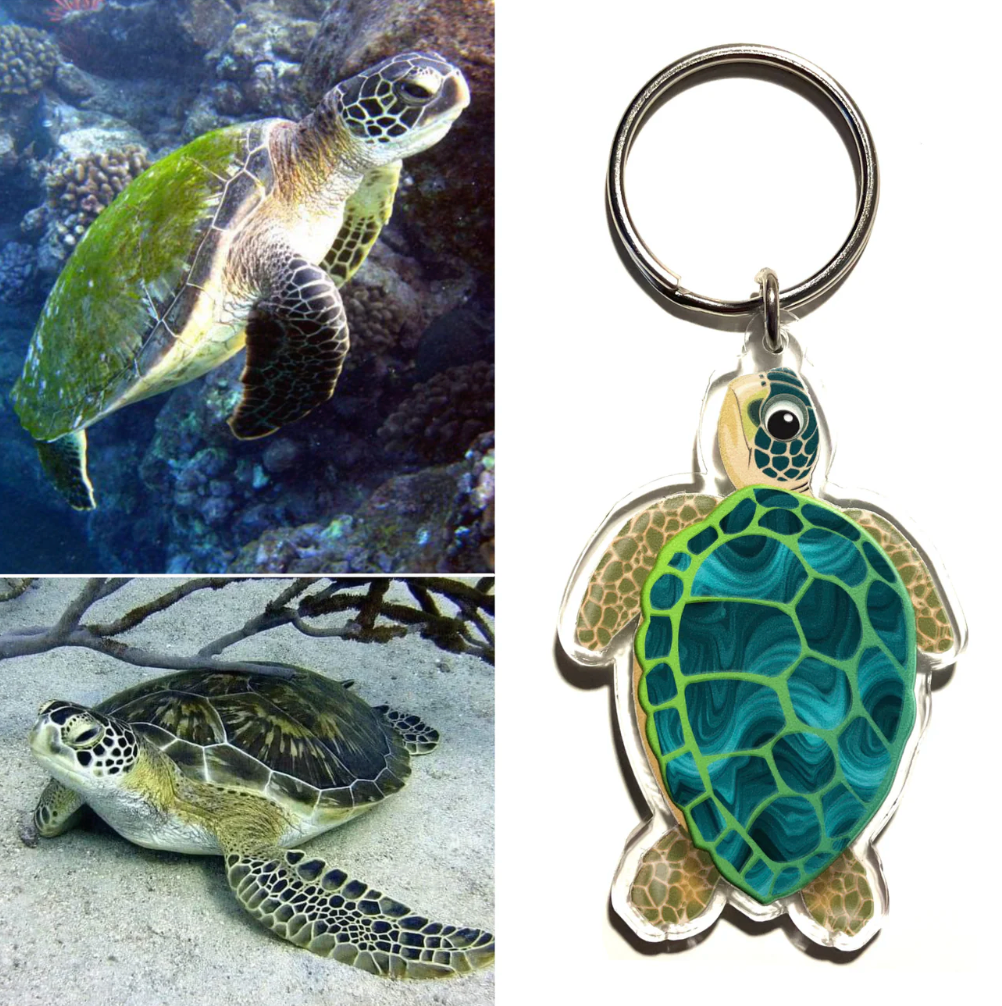 Green Sea Turtle Key Ring by in Australia from recycled Acrylic, Smyle ...