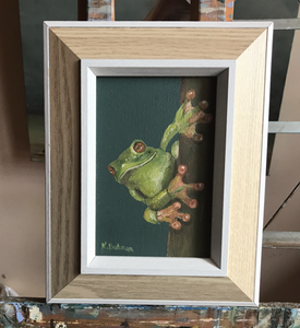 Green tree frog wood frame 17 x 22cm  Oil by Kathie Bateman Includes Aust shipping