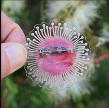 Load image into Gallery viewer, Hakea Pincushion flower Brooch  By Oh Pluto made in Australia  DUE SOON