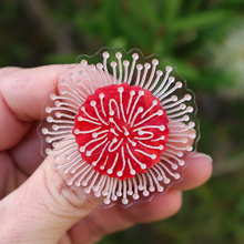 Load image into Gallery viewer, Hakea Pincushion flower Brooch  By Oh Pluto made in Australia  DUE SOON