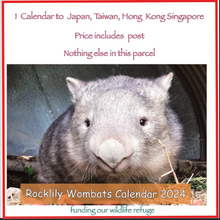 Load image into Gallery viewer, 1  x 2024 Calendar ONLY by Rocklily wombats  INCLUDES POSTAGE TO:  NEW  ZEALAND