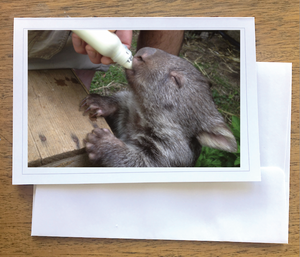 June loves her bottle Wombat Blank photo card with envelope 210 gms gloss card