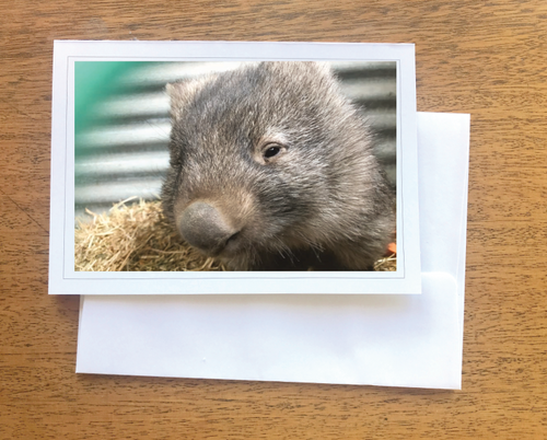 1. Keith Wombat Blank photo Card with envelope 210 gms Gloss card