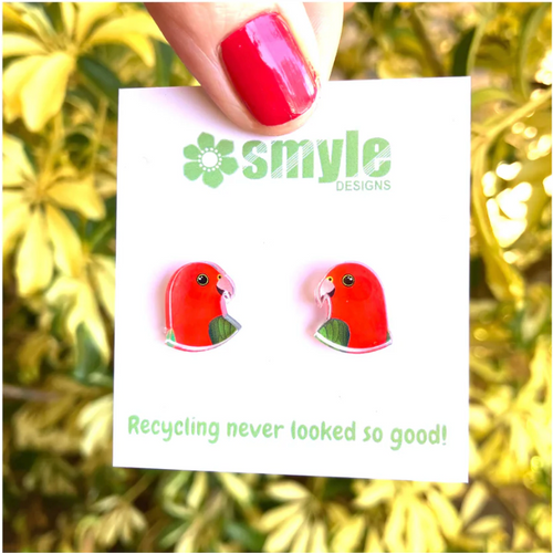King Parrot Studs made  in Australia from recycled Acrylic,  by Smyle Designs