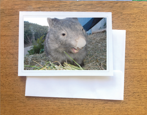 1. Kodiak Wombat Blank photo Card with envelope  210 gms Gloss card