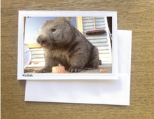Load image into Gallery viewer, 2027 Calendar Set of 12  Quality Blank wombat photo card with envelope 15% off deal