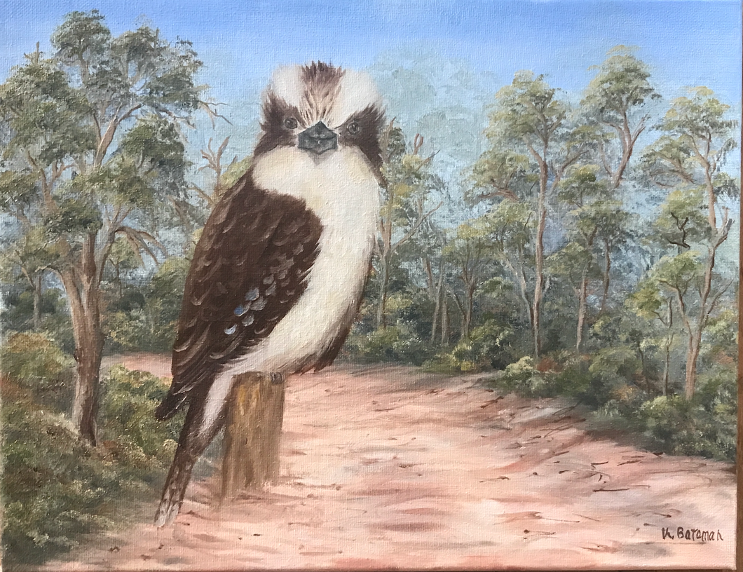 Kookaburra by the track  35 x 27cm Original Oil painting by Kathie Bateman Includes Aust shipping.