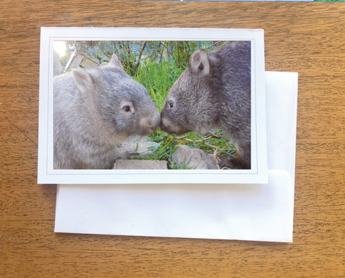 1. Lucy and Bubule Wombat Blank photo Card with envelope 210 gms Gloss card