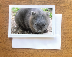 1. Millie Wombat Blank photo Card with envelope 210 gms Gloss card