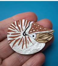 Load image into Gallery viewer, Nautilus Acrylic Brooch By Oh Pluto made in Australia