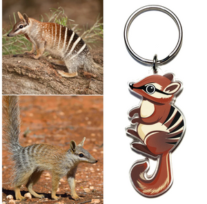 Wombat Key Rings Numbat Key Ring made in Australia from recycled Acrylic, by Smyle Desi ...