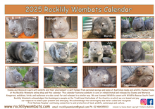 Load image into Gallery viewer, OLD STOCK :  2025  Rocklilywombats Calendar only 1 left